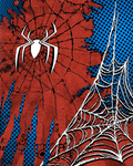 Spider Poster